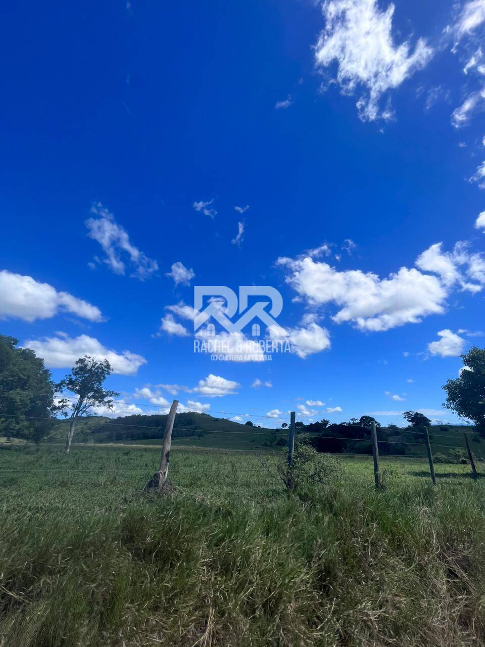 Terreno, 126 hectares - Foto 16