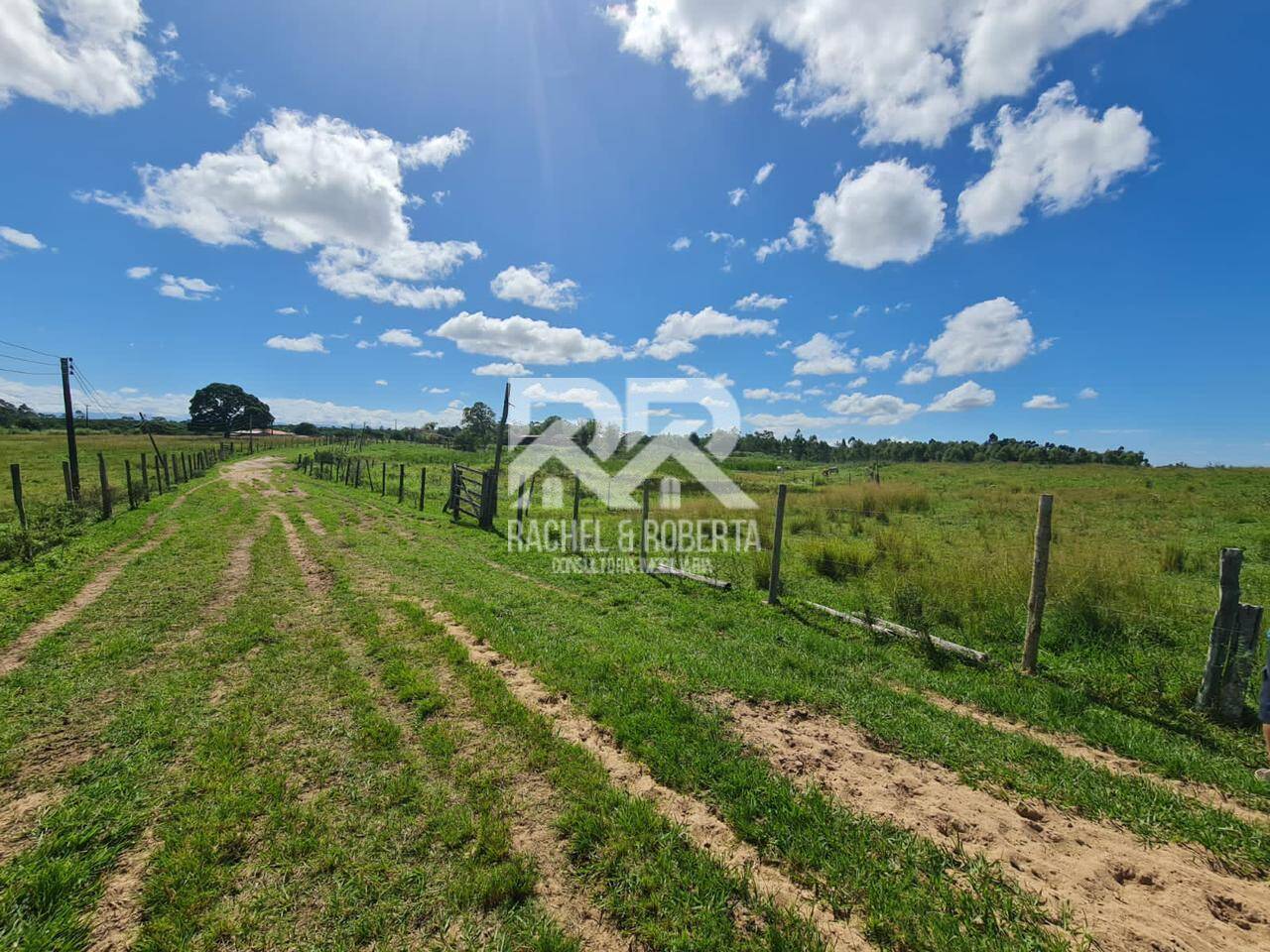 Terreno, 126 hectares - Foto 17