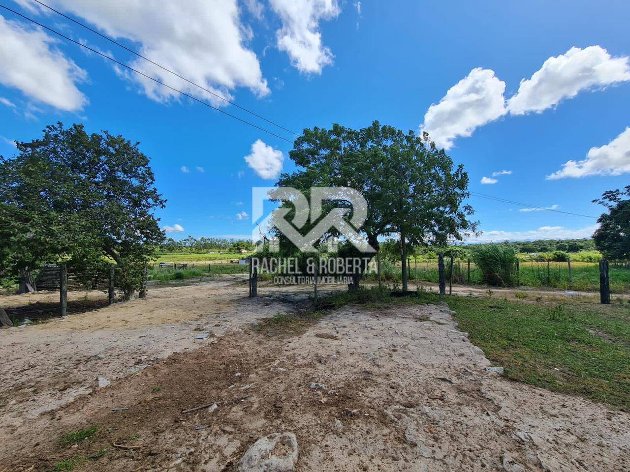 Terreno, 126 hectares - Foto 19