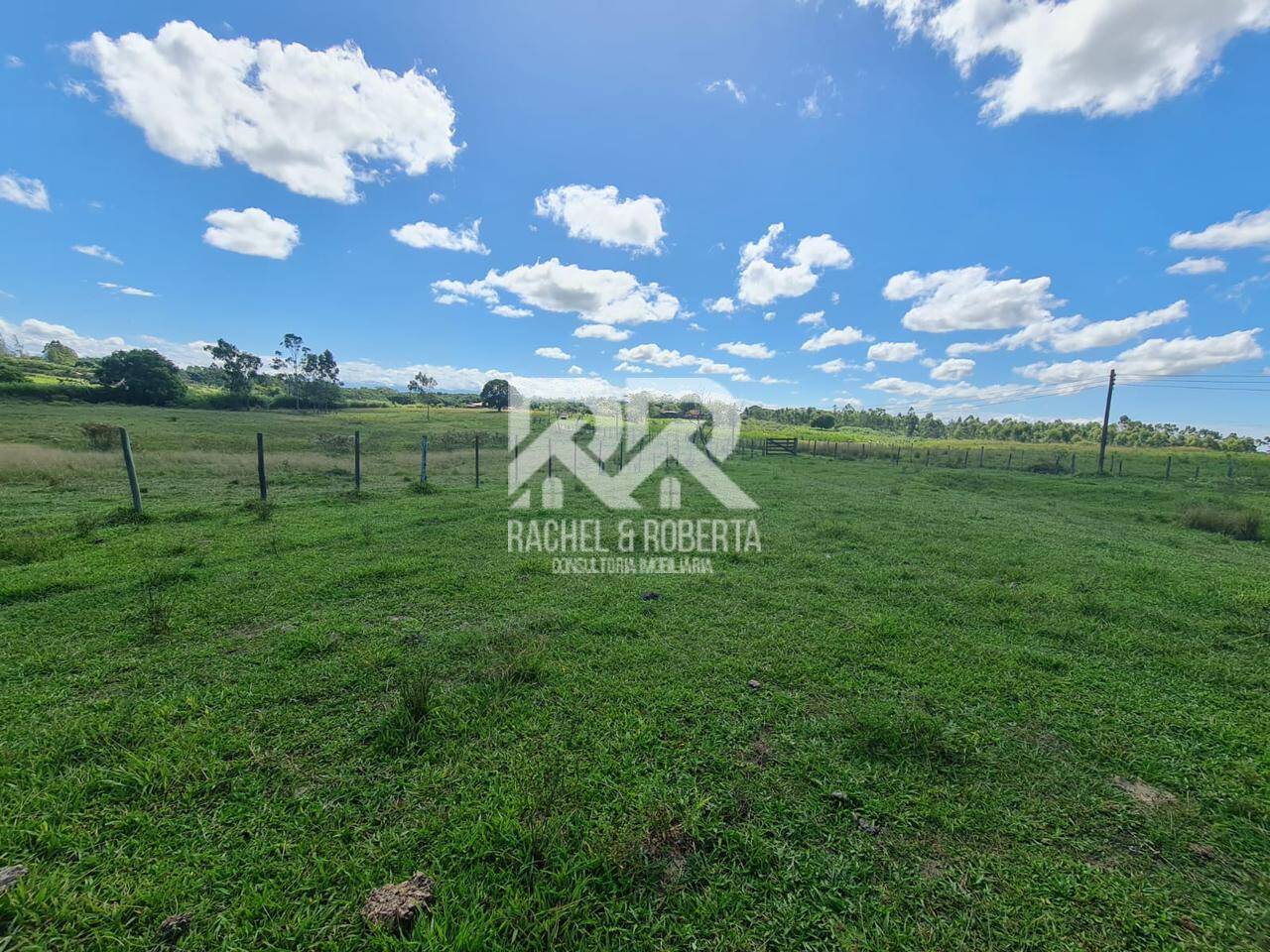 Terreno, 126 hectares - Foto 25