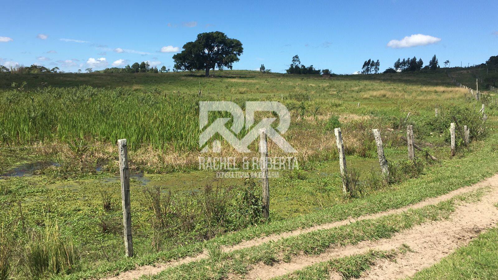 Terreno, 126 hectares - Foto 29