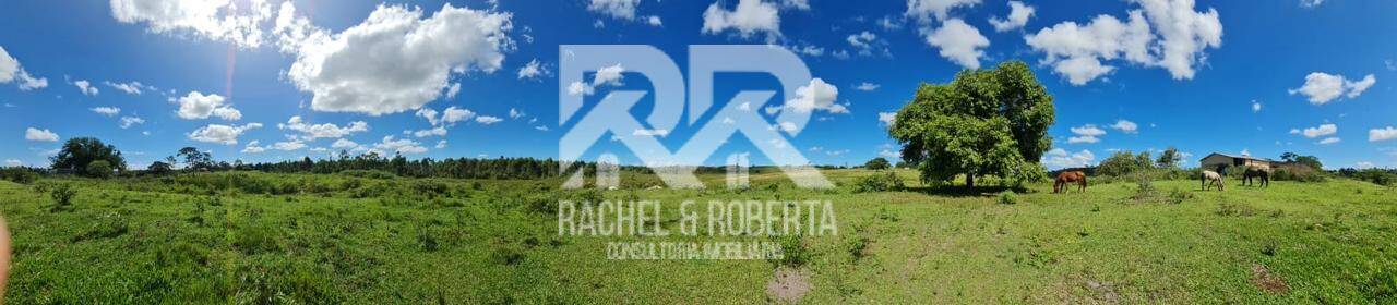 Terreno, 126 hectares - Foto 26