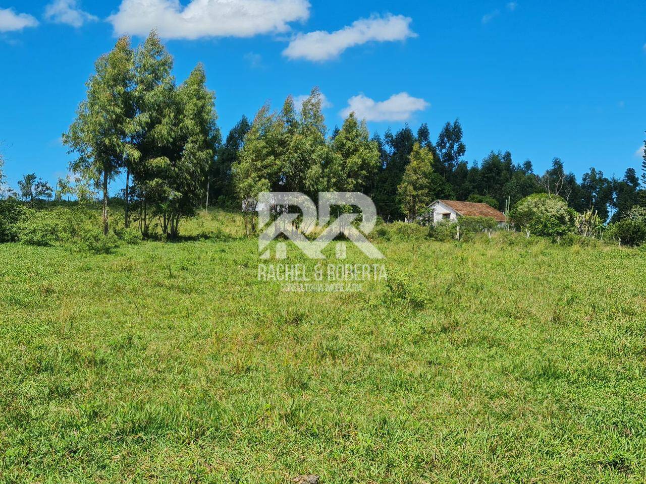 Terreno, 126 hectares - Foto 30