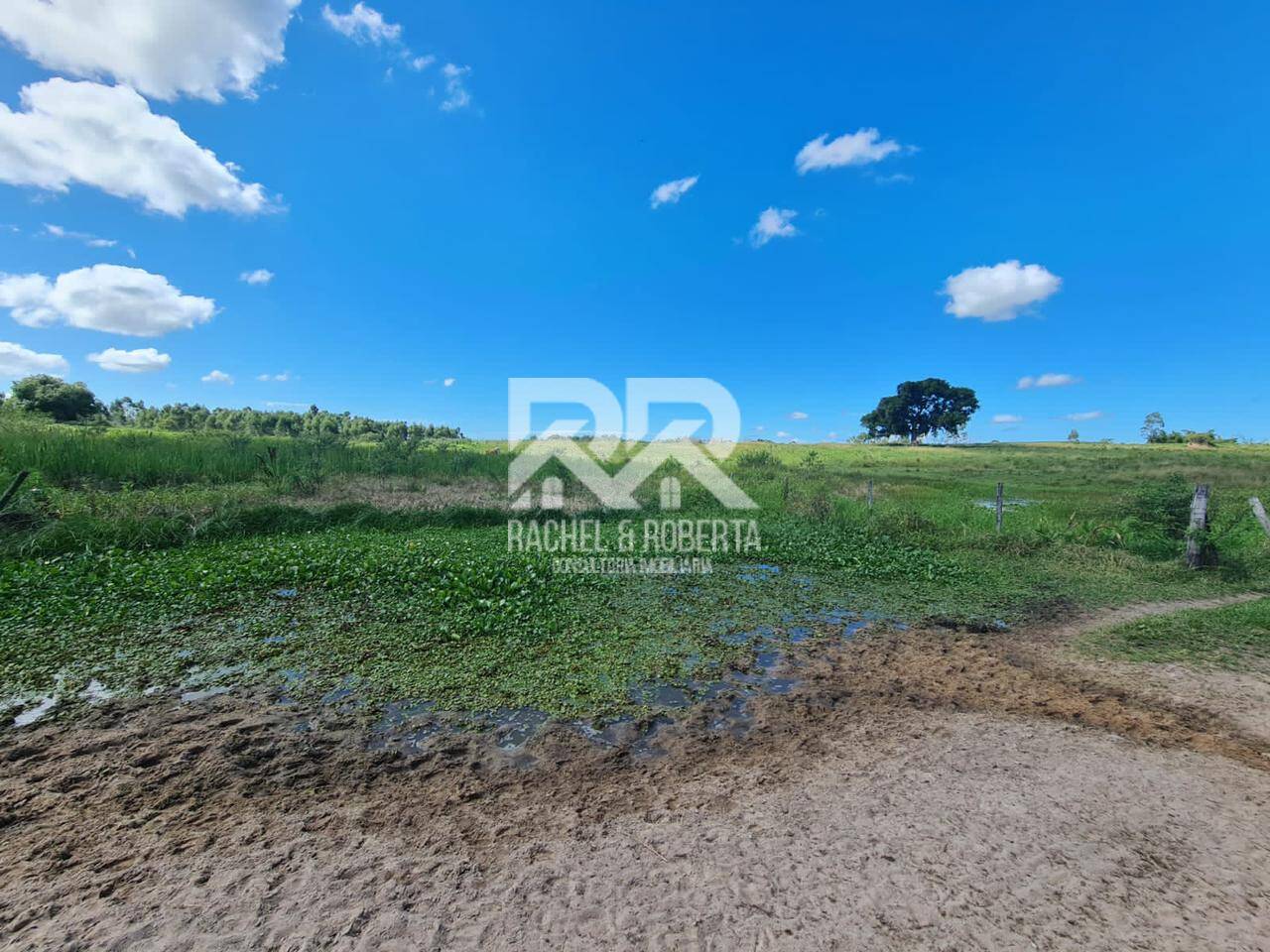 Terreno, 126 hectares - Foto 33