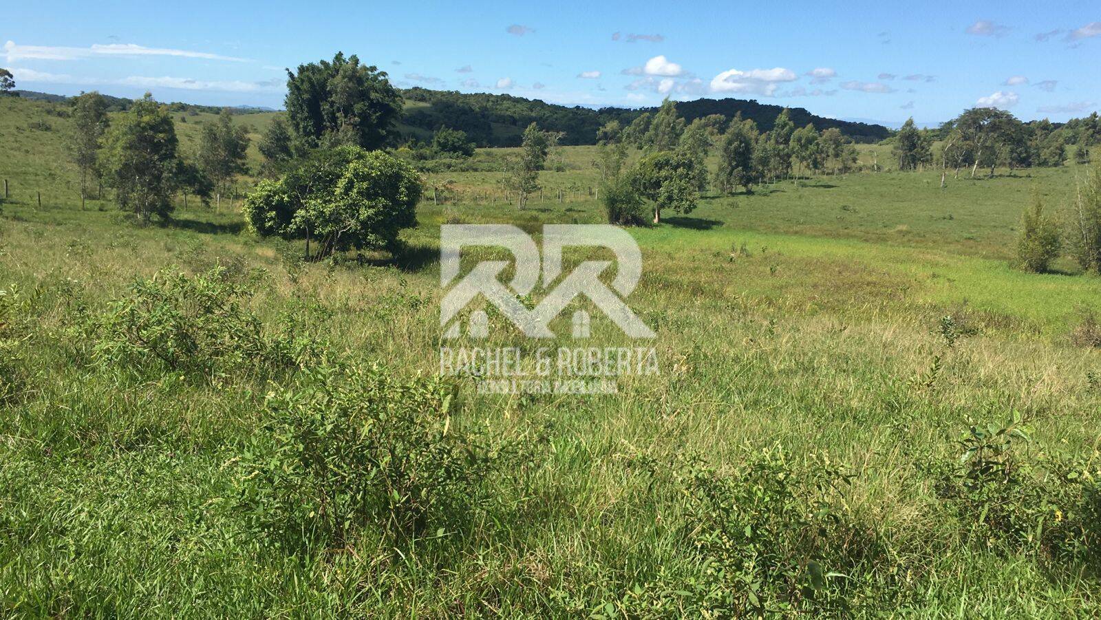 Terreno, 126 hectares - Foto 39