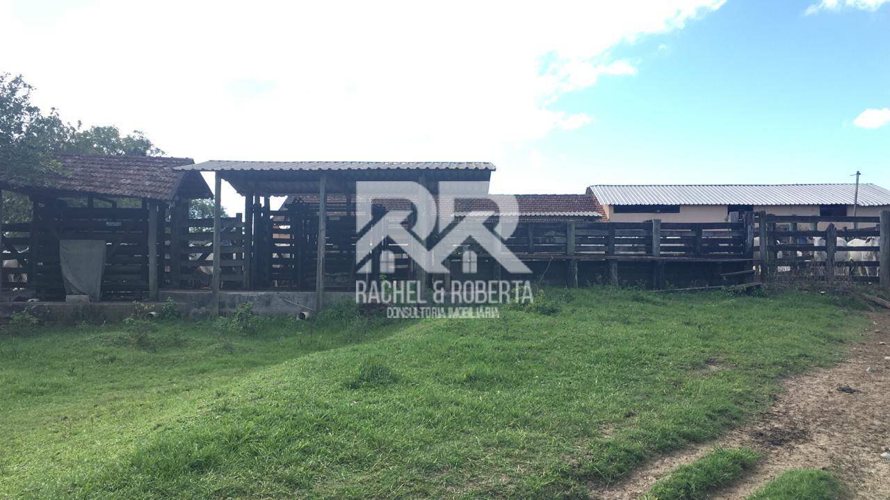 Terreno, 126 hectares - Foto 43