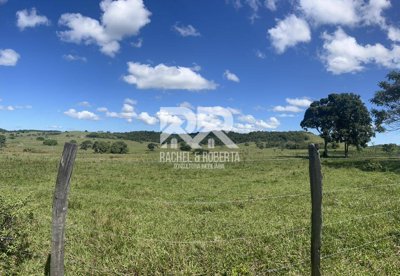 Terreno, 126 hectares - Foto 42