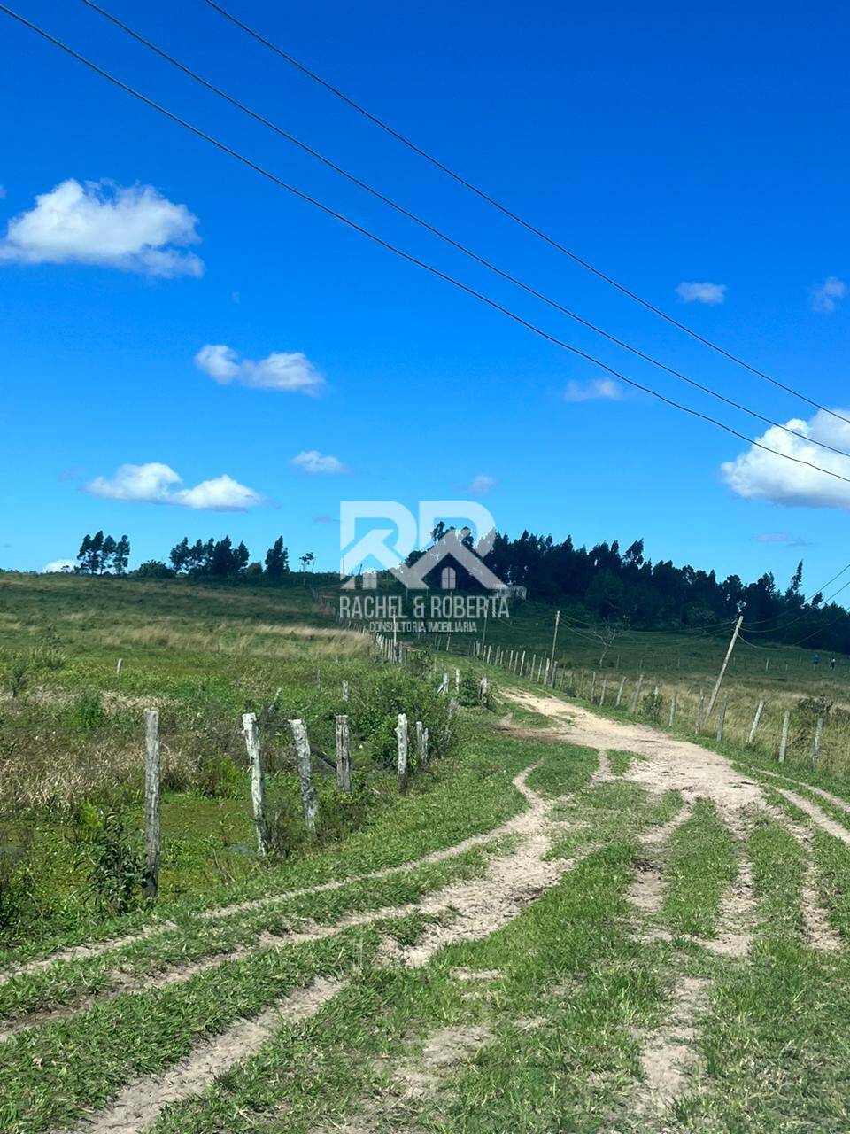 Terreno, 126 hectares - Foto 47