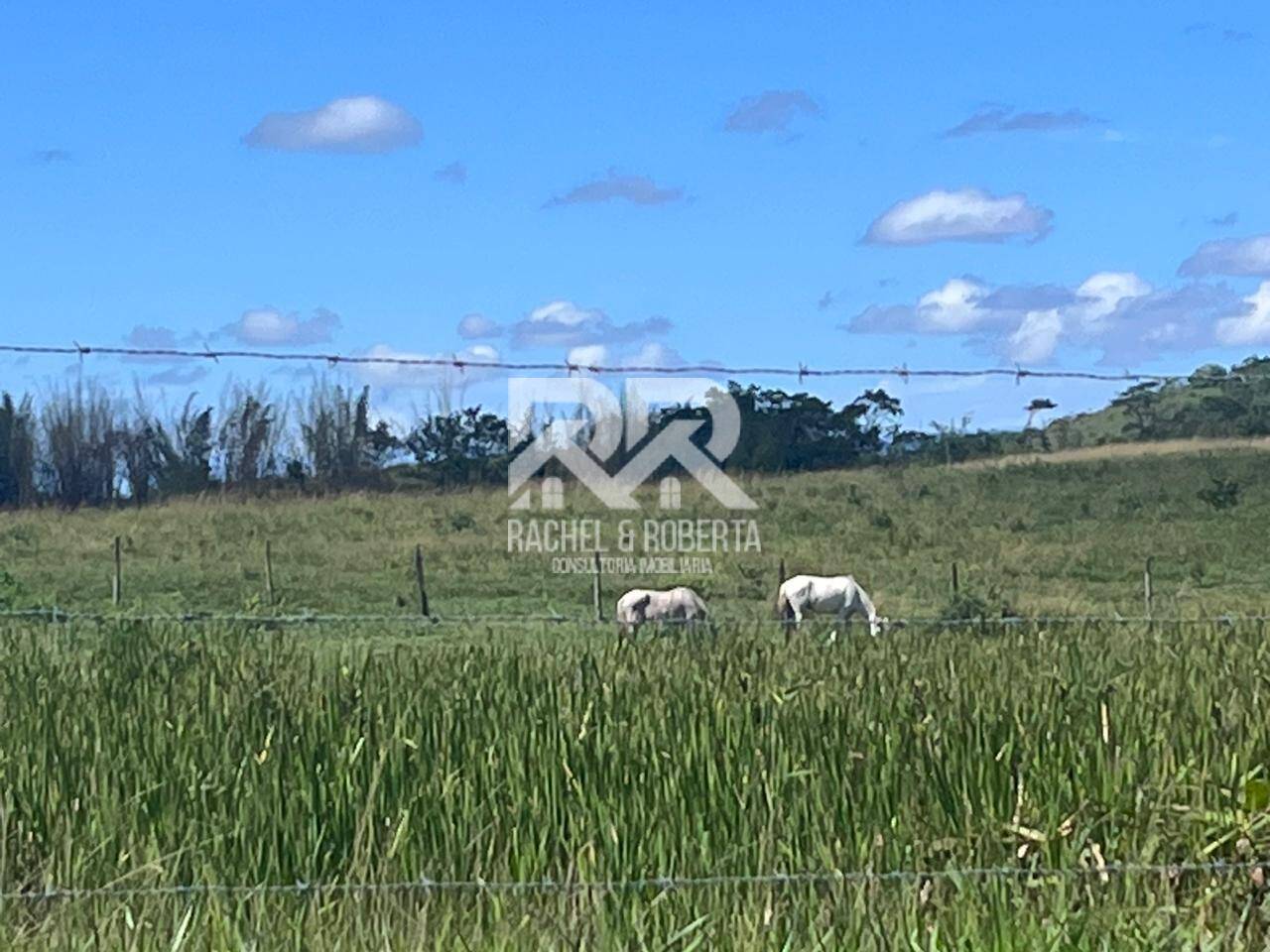 Terreno, 126 hectares - Foto 48