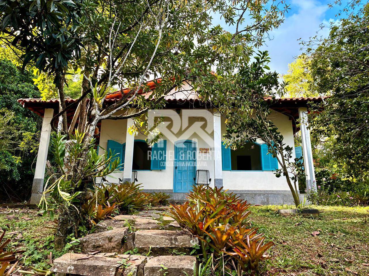 Fazenda totalmente produtiva com 48 hectares