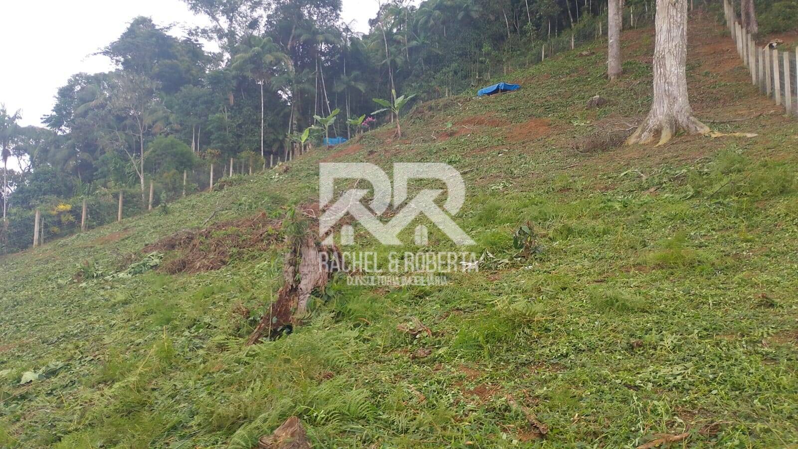Terreno, 1650 m² - Foto 2