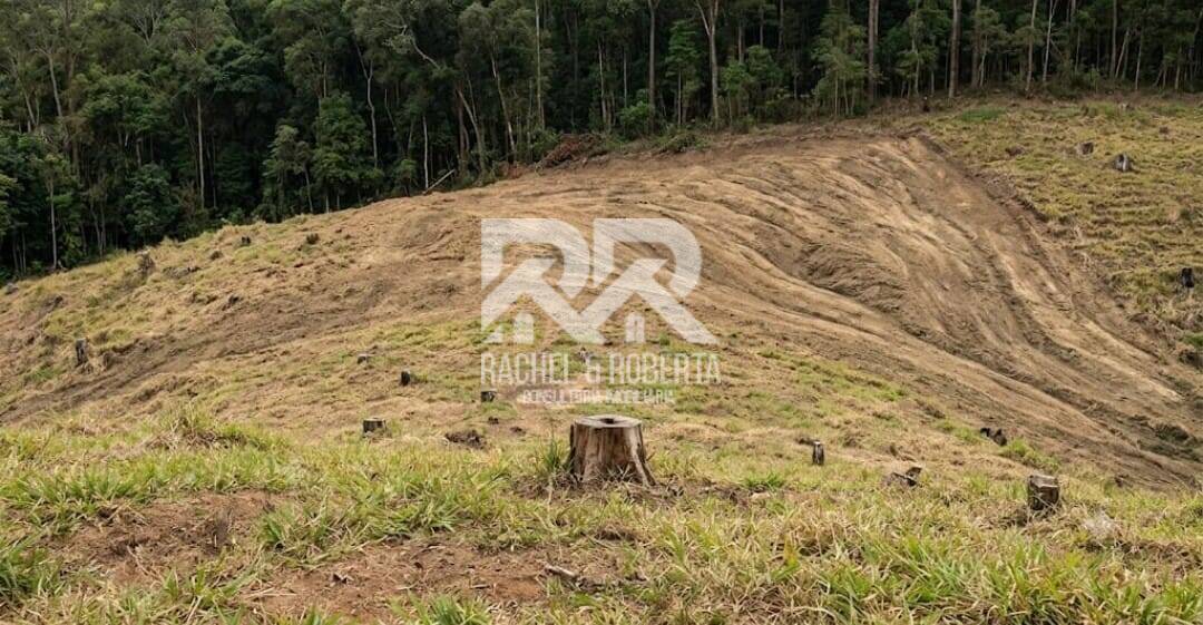 Oportunidade Exclusiva: Terreno para Construir na Carlos Guinle